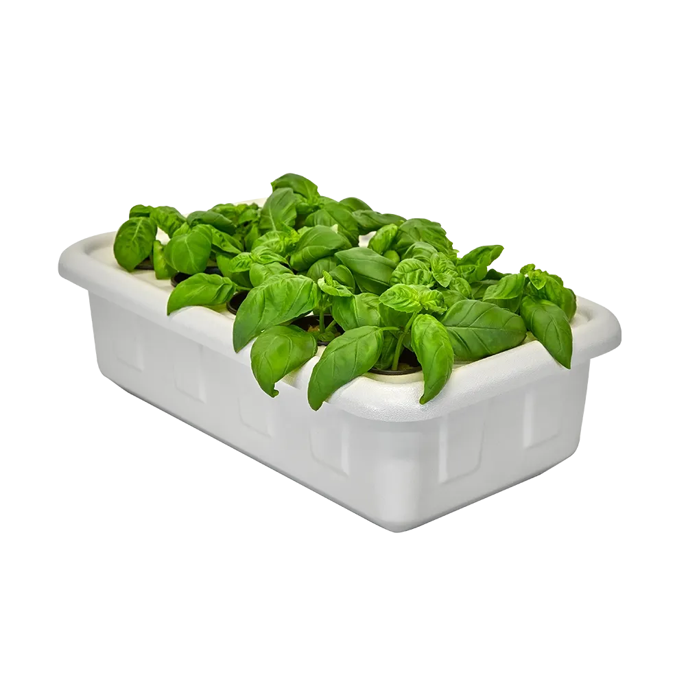 Hydroponic Cloner System - 14 Site