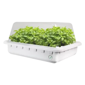 Hydroponic Cloner System - 50 Site