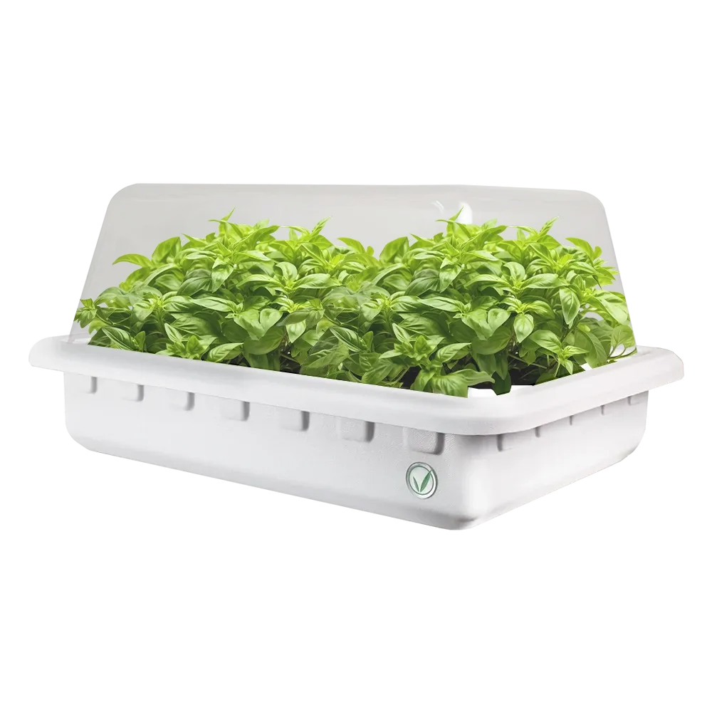 Hydroponic Cloner System - 50 Site