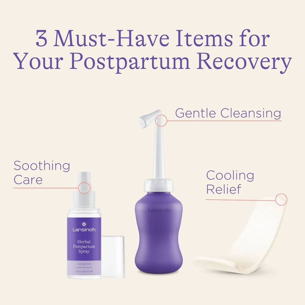 Lansinoh Postpartum Care and Recovery Kit - 8pc